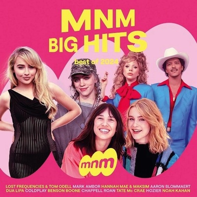 Various - MNM Big Hits CD