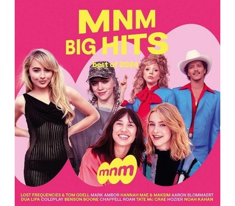 Various - MNM Big Hits CD