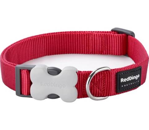 Red Dingo Obojok