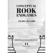 Conceptual Rook Endgames