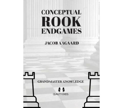 Conceptual Rook Endgames