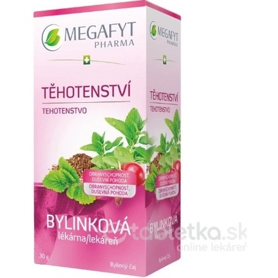 MEGAFYT Bylinková lekáreň Tehotenstvo porciovaný čaj 20 x 1,5 g