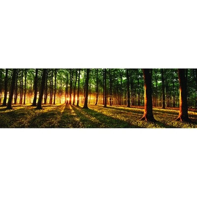 Preinterier FT4032 Fototapeta na stenu Slnko prenikajúce lesom vlies 620cm x 219cm