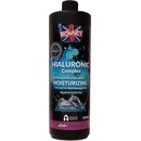 Ronney Shampoo Hialuronic Complex Moinsturizing 1000 ml