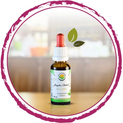 Salvia Paradise Ženšen pravý bezalkoholová tinktura 30 ml