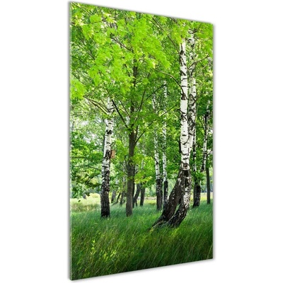 Vertikálny fotoobraz na skle Brezový les 50x100 cm