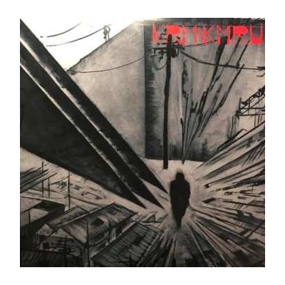 2 Kevin Martin - Disconnect LP