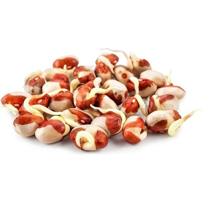 Fazole Adzuki na microgreens, 100g