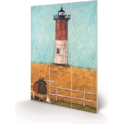 Obraz na dreve Sam Toft - Feeling the Love at Nauset Light, 40 × 59 cm
