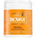 L'biotica Biovax Dry Hair regenerační a hydratační maska pro suché a poškozené vlasy (Paraben & SLS Free) 250 ml