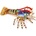 langusta