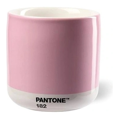 Pantone Latte termo Cool Gray 210 ml