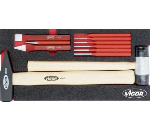 VIGOR V5006
