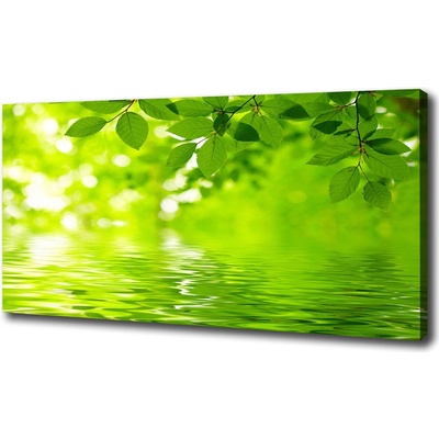 Moderný obraz canvas na ráme Zelené lístie 100x50 cm