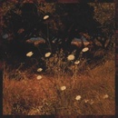 Earth Patterns - Szun Waves CD
