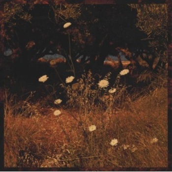Earth Patterns - Szun Waves CD