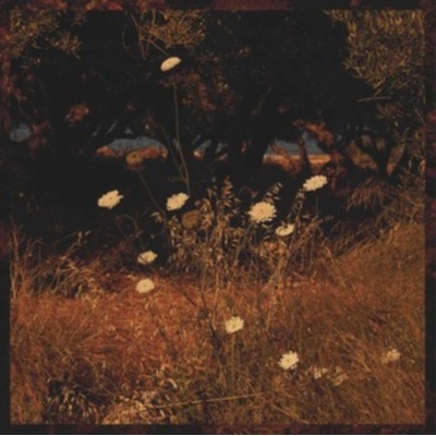 Earth Patterns - Szun Waves CD