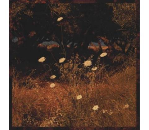 Earth Patterns - Szun Waves CD