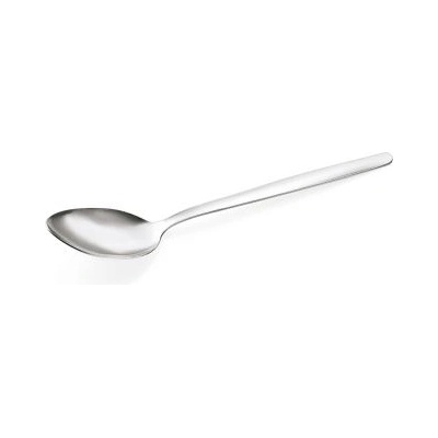 NP80 lžíce jídelní ECO 19 cm 12 ks