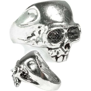 Image 1 of Alchemy gothic пръстен Череп - Alchemy Gothic - R6