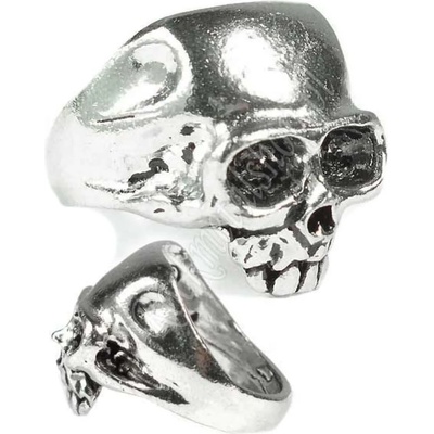 Alchemy gothic пръстен Череп - Alchemy Gothic - R6