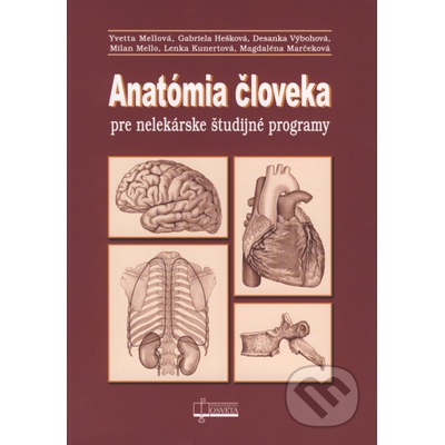 Anatómia človeka pre nelekárske študijné programy - Yvetta Mellová, Gabriela Hešková, Desanka Výbohová, Milan Mello, Lenka Kunertová, Magdaléna Marčeková