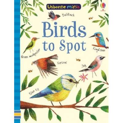 Birds to Spot | Sam Smith