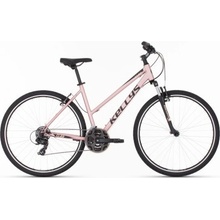 Kellys Clea 10 2025