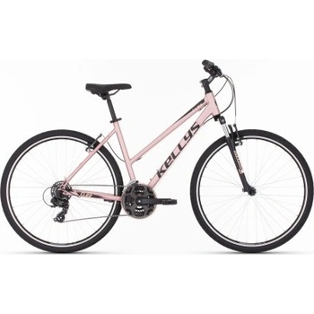 Kellys Clea 10 2025