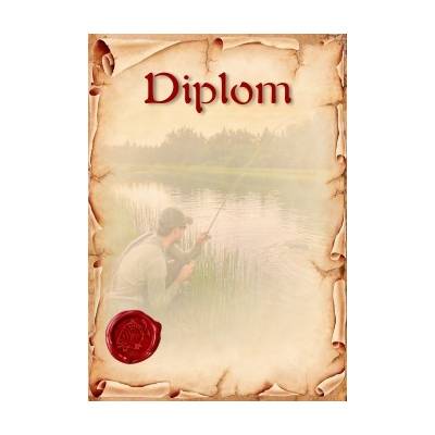diplom 135