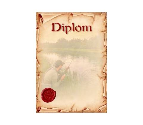 diplom 135