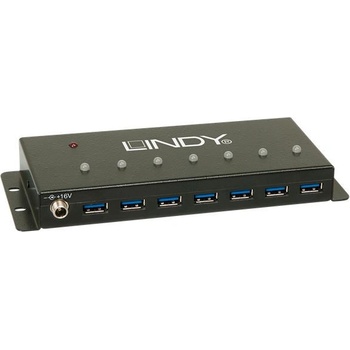Lindy 43128