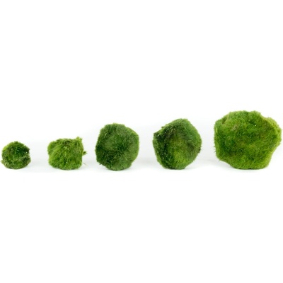 Gardners Set řasokoulí 5 ks