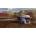 Trucks Trailers