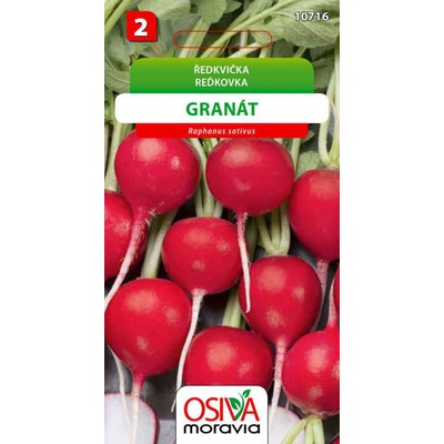 Ředkvička Granát Seva Seed 5 g