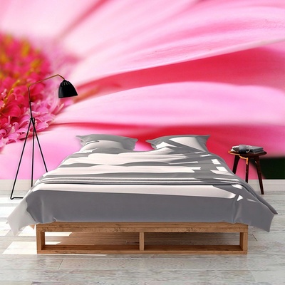 Tapeta SABLIO Růžová gerbera, rozměry 336x220 cm