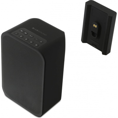 Bluesound Pulse Flex 2i + BP100