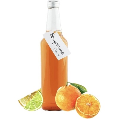 Sirupárna Citrus mix sirup 100 ml