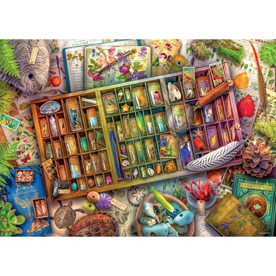 Ravensburger Aimee Stewart Prírodný svet 1000 dielov