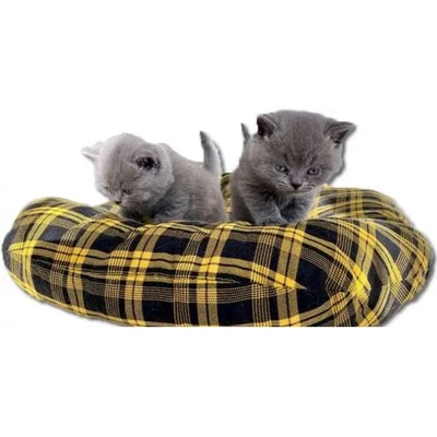 ДОГИФЕШЪН ЗОО ЕООД Меко и удобно дюшече за кучета и котки - ДОГИФЕШЪН - БЪЛГАРИЯ