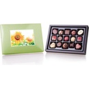Chocolissimo - Postcard 180 g