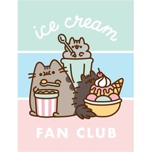 Halantex Coral fleece deka mačička Pusheen Ice Cream Fan Club