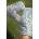 CEDR FLOWER 29 cm