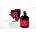 Cacharel Amor Amor Absolu EDP 30 ml