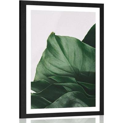 Plakát s paspartou okouzlující dopis monstery - 40x60 no frame