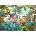 Heye - Puzzle Birddiversity - 1 000 piese
