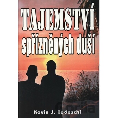 Tajemství spřízněných duší - Kevin J. Todeschi