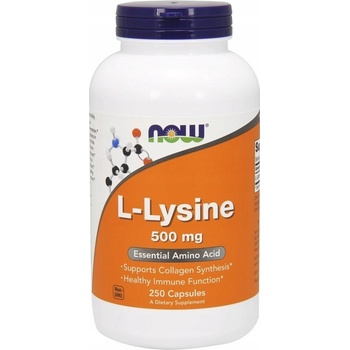 Now Foods L-Lysine 500 mg 250 tablet