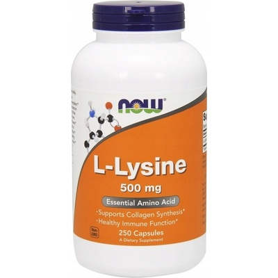 Now Foods L-Lysine 500 mg 250 rostlinných kapslí