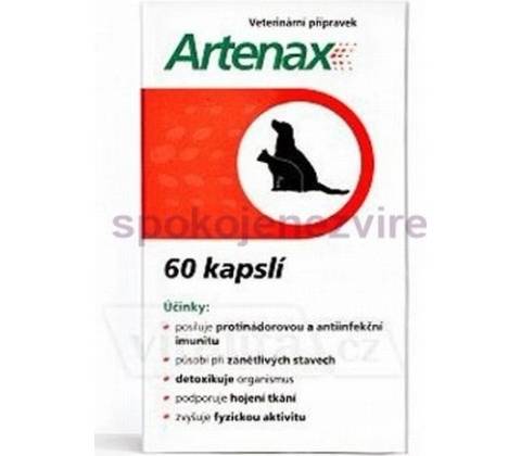Folio Artenax 60cps